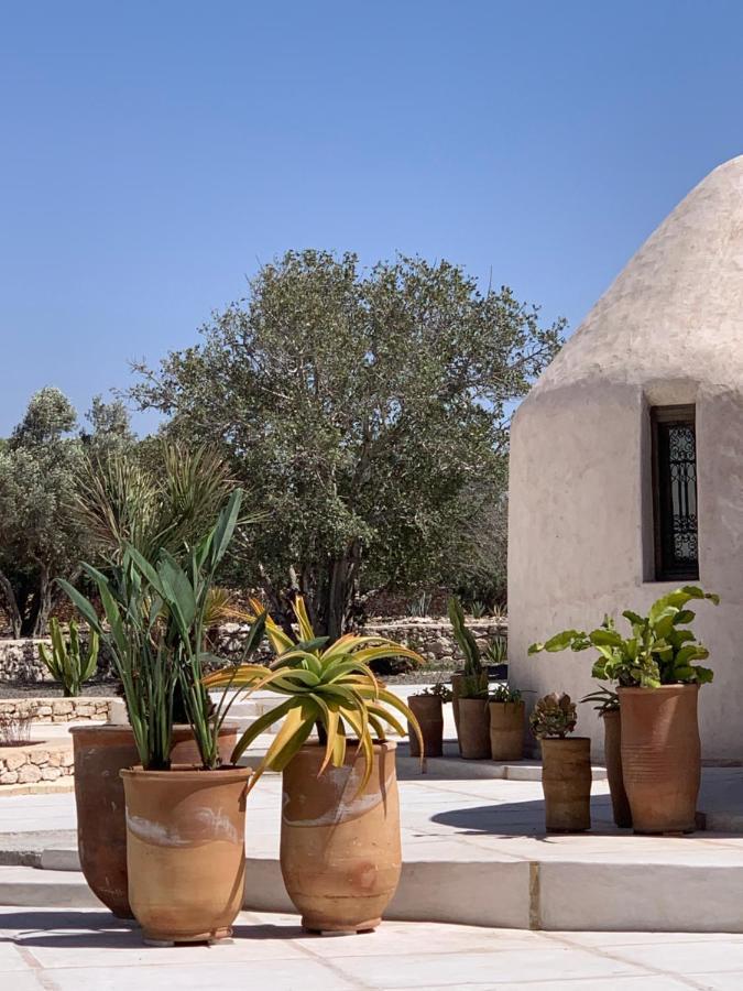 Les Jardins De Villa Maroc Essaouira Bagian luar foto