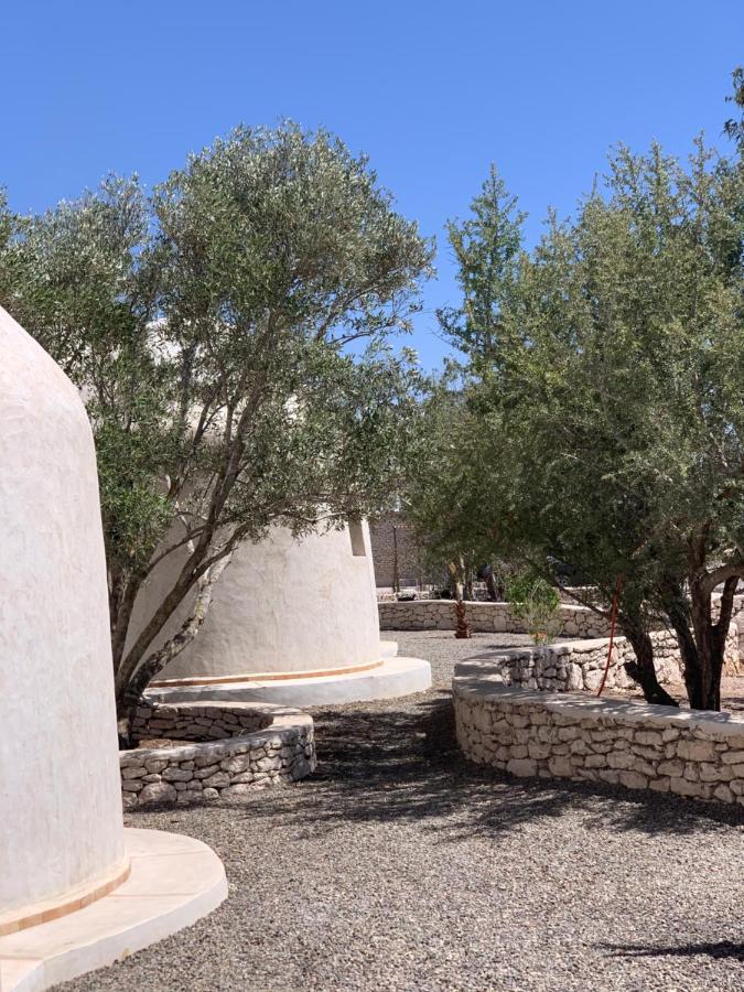 Les Jardins De Villa Maroc Essaouira Bagian luar foto