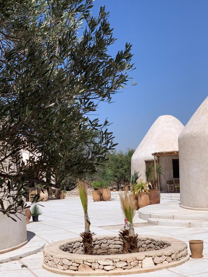 Les Jardins De Villa Maroc Essaouira Bagian luar foto